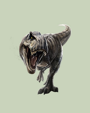 Jurastudium